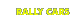RALLY CAR