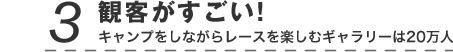 3FϋqILvȂ烌[XyރM[20l