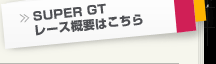 SUPER GT [XTv͂