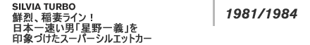 NAȃCI {ꑬju`vۂÂX[p[VGbgJ[
