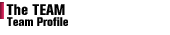 Team Profile