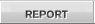 Report