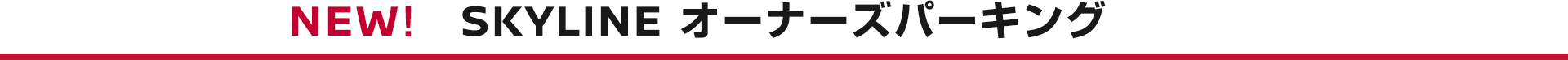 SKYLINE オーナーズパーキング