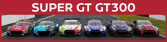 SUPER GT GT300