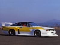 NISMO | Racing GT-R HISTORY ～写真で振り返る、熱きDNAの系譜～