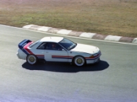 Nismo Racing Gt R History 写真で振り返る 熱きdnaの系譜