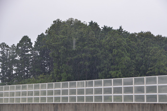 雨、好きになりましょう! 〜 サーキットレッスンレポート