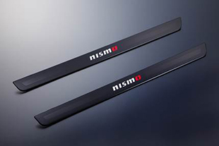 Kicking Plate