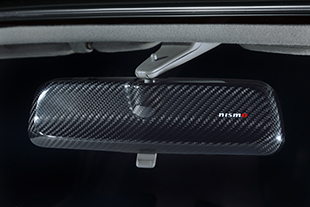 Carbon Room Mirror Cover