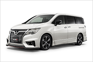 Aero Kit for ELGRAND