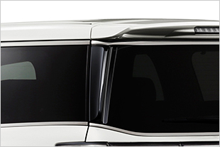 Aero Kit for ELGRAND