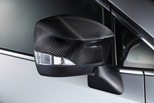 Carbon Door Mirror Cover