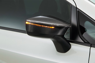 Carbon Door Mirror Cover
