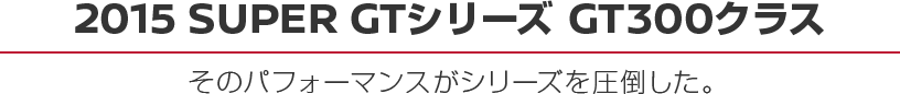 2015 SUPER GTシリーズ GT300クラス - そのパフォーマンスがシリーズを圧倒した。