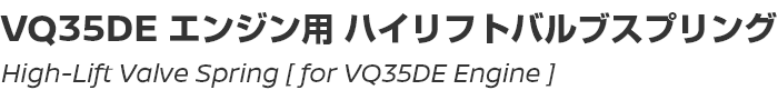 High-Lift Valve Spring Set [for VQ35DE]/VQ35DE用ハイリフトバルブスプリングセット